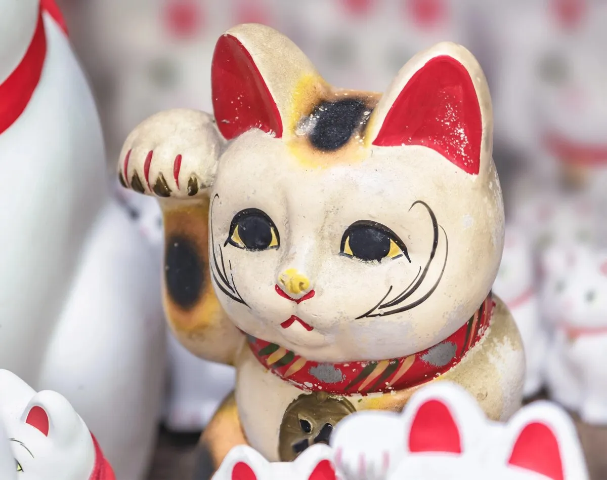 三毛猫の完全ガイド: 知っておくべきことすべて' title=