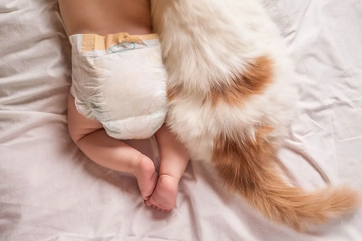 Keeping a cat out of a baby