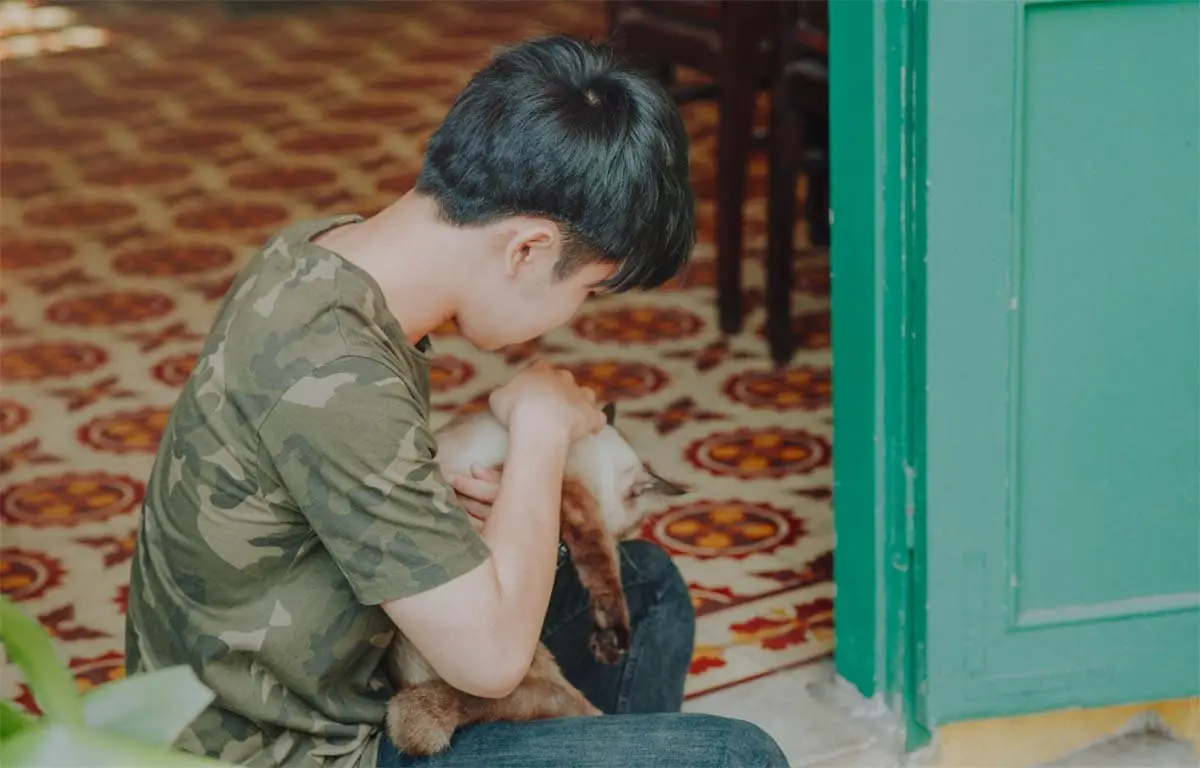 Cats and children