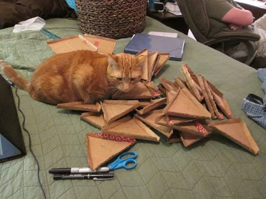 prepognjeni kartoni' title=