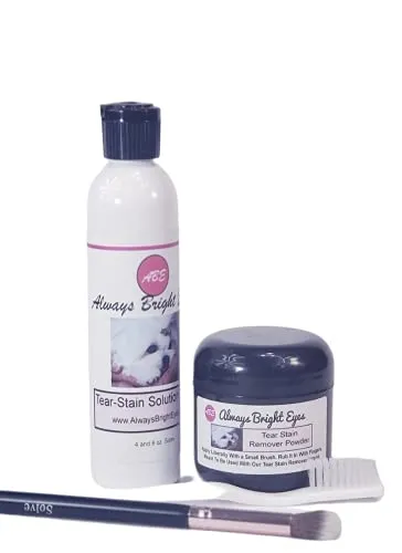 Plamy po łzach u kotów (w tym 5 praktycznych wskazówek dotyczących leczenia)