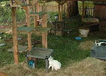 猫の囲いを作る – 猫愛好家のための創造的なプロジェクト' title=