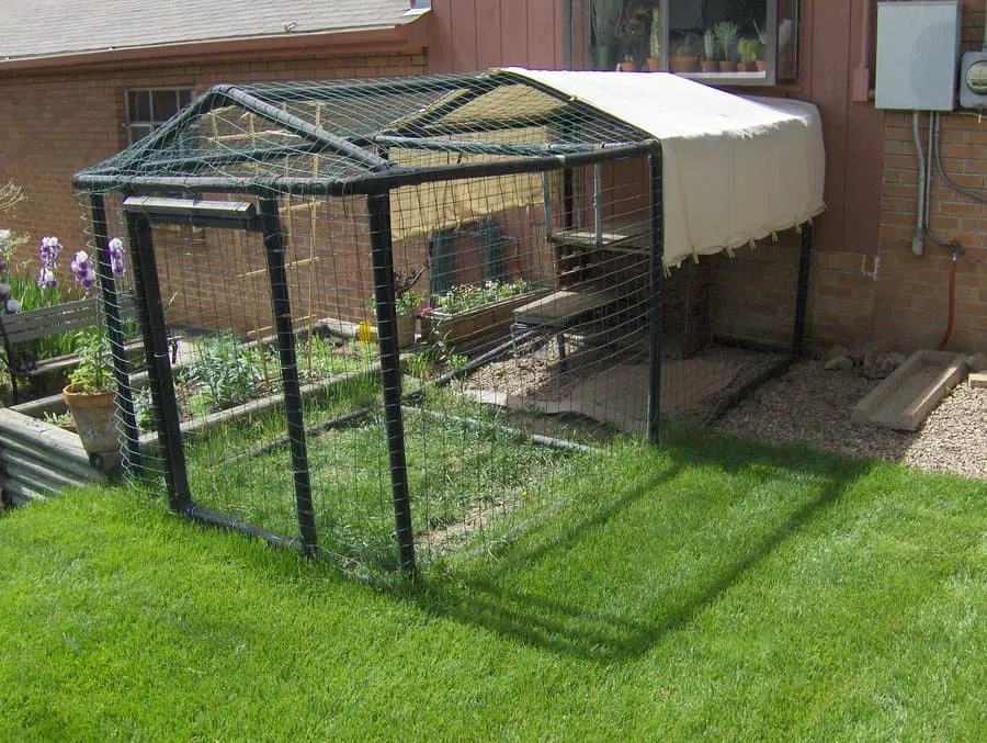 egy catio kültéri burkolattal az oldalán az árnyékolásért' title=