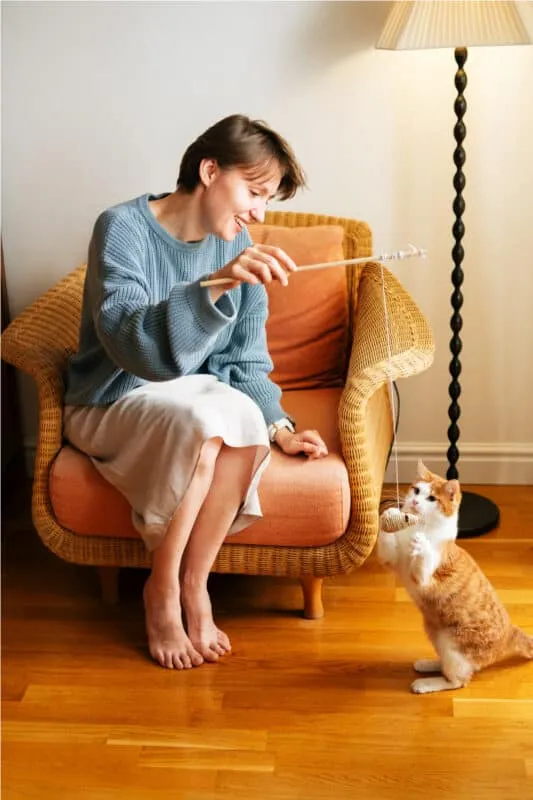 En kjæledyreierguide til kjæledyrsittere: Navigering av alternativene for kattens omsorg' title=