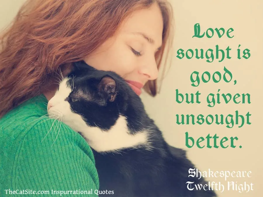 Šekspyro citata apie meilę' title=