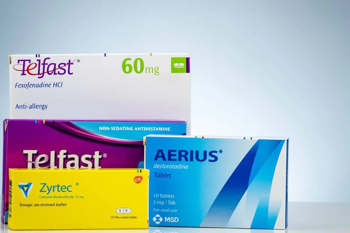 Antihistamines for cats