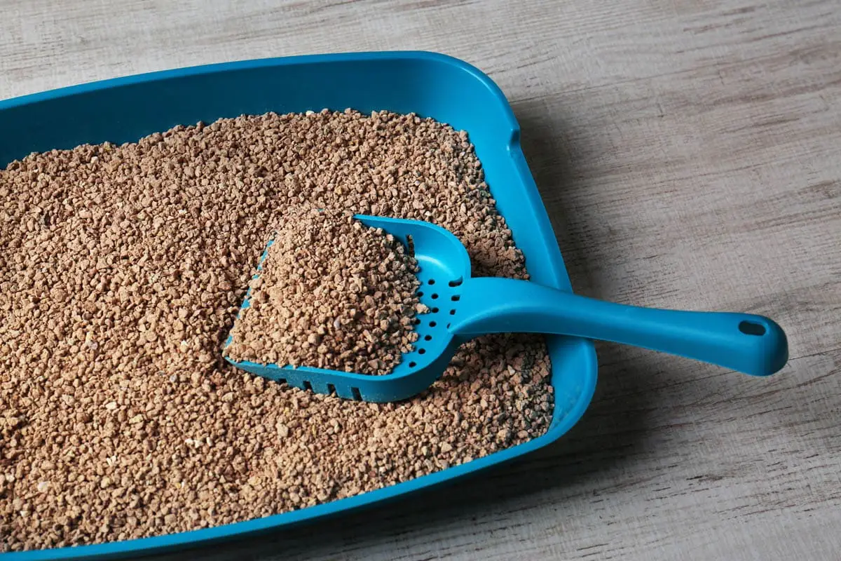 Cat litter tray
