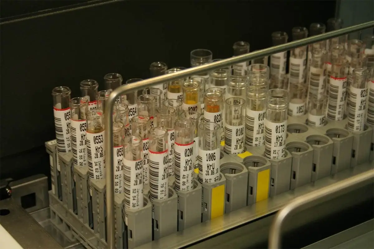 Urinalysis test for cats