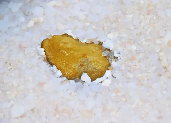 yellow cat poop with abnormal consistency similar to diarrhea