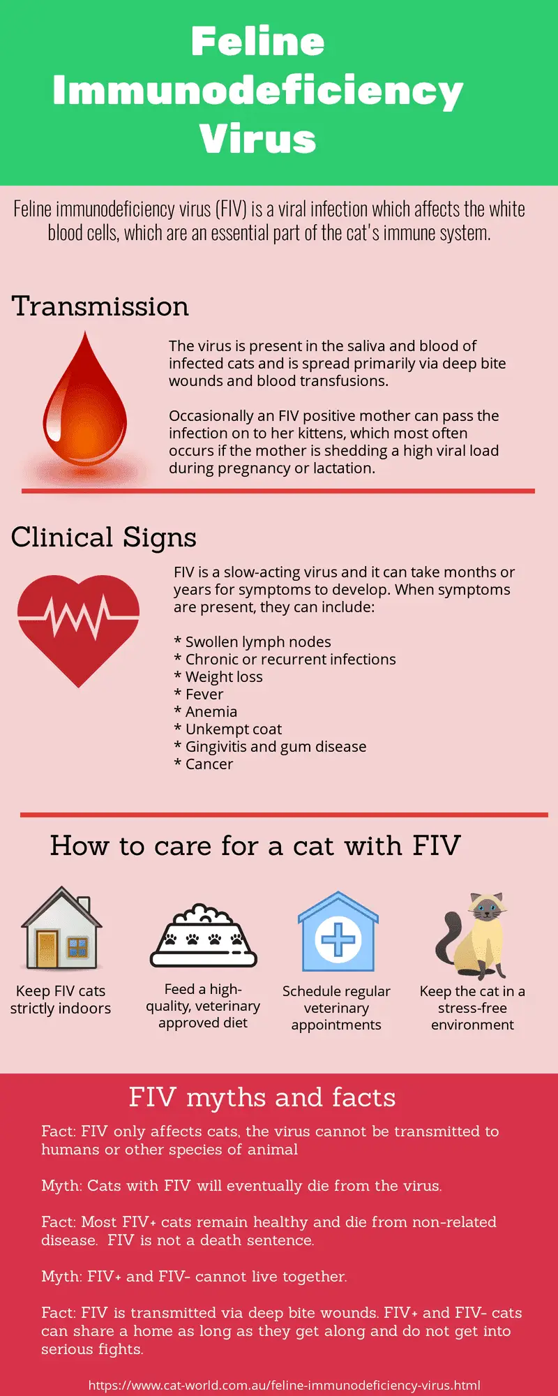 FIV in cats