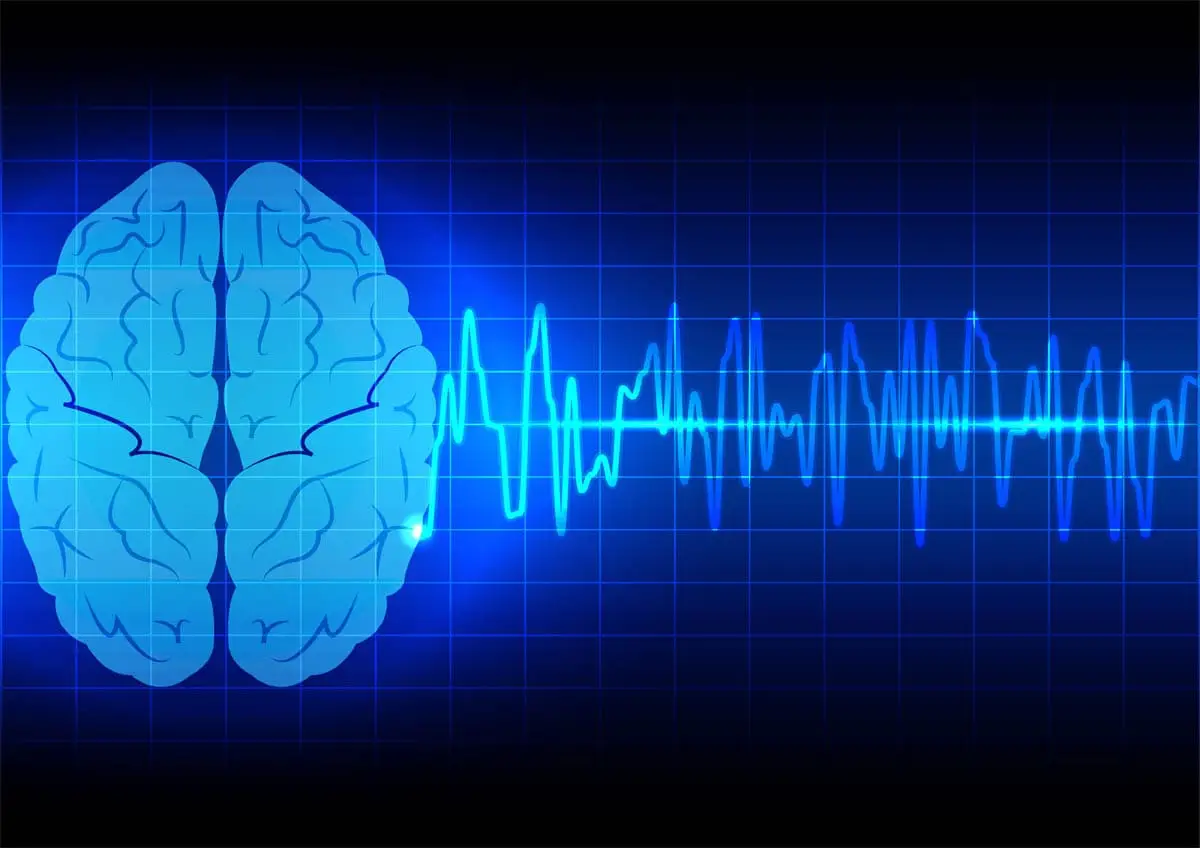 Seizures in cats