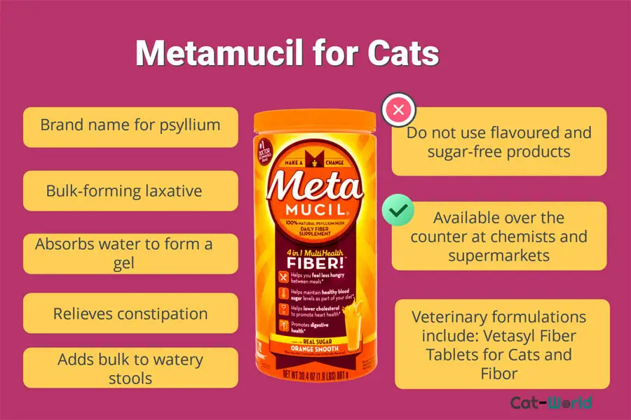 Metamucil for cats