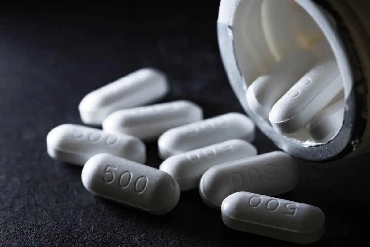 Paracetamol toxicity in cats