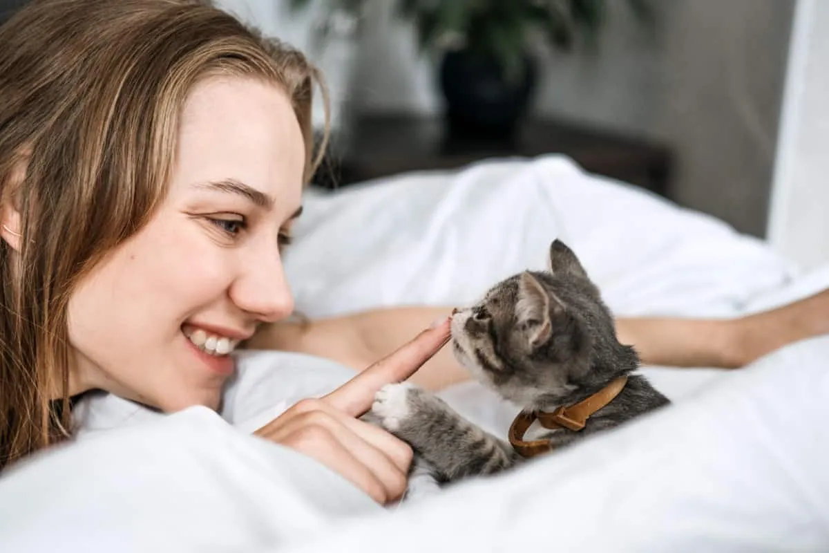 Žena hrající s šedým kotěnem navždy doma pro vaše koťata' title=
