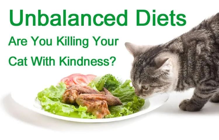 Dietas desequilibradas – você está matando seu gato com gentileza?' title=