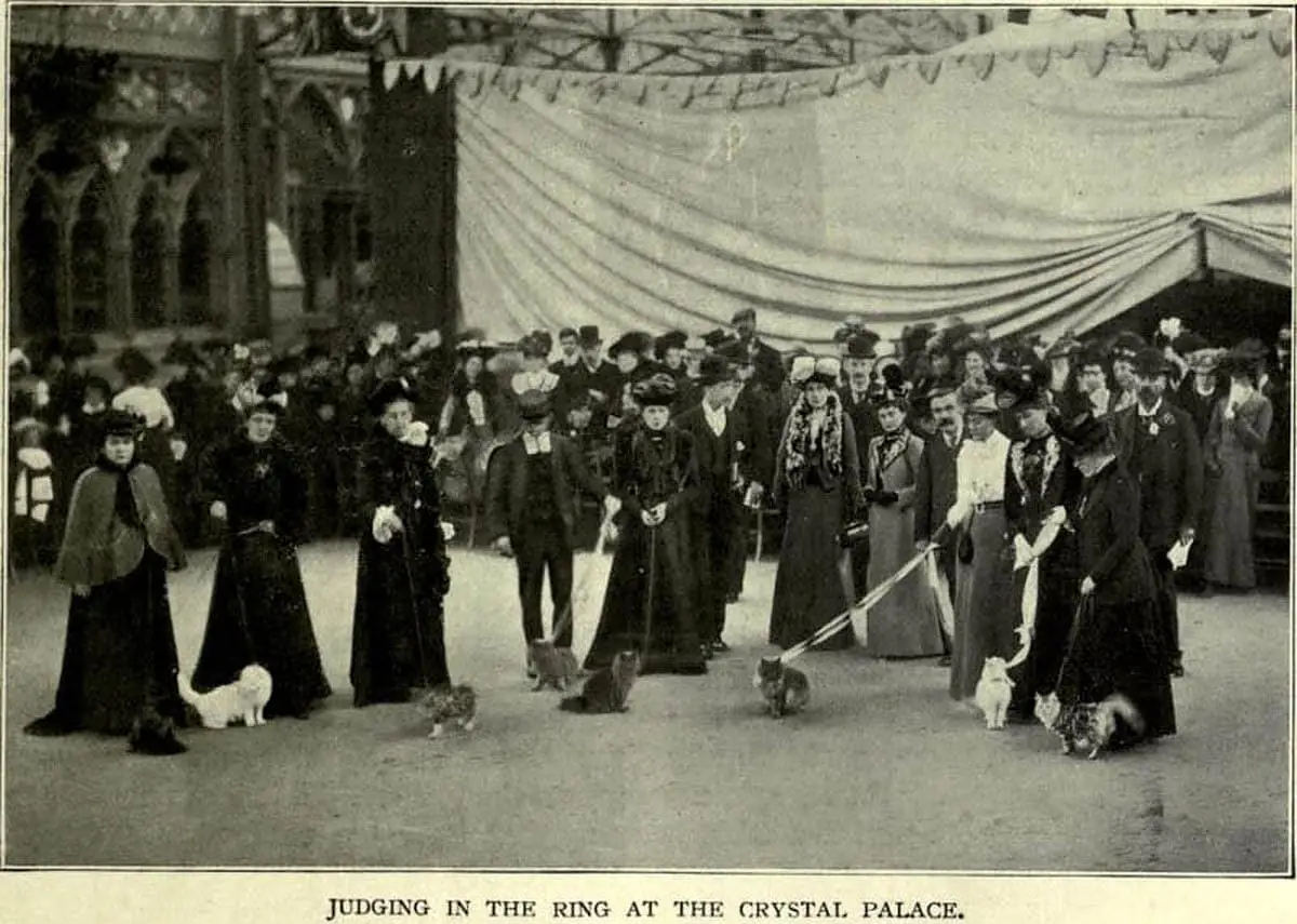 First cat show held at Crystal palace
