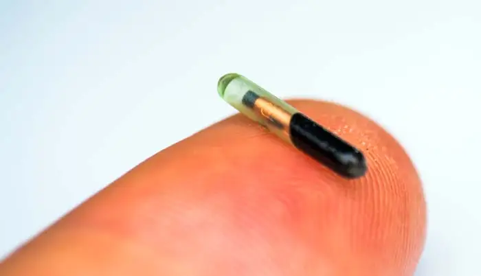 Cat microchip