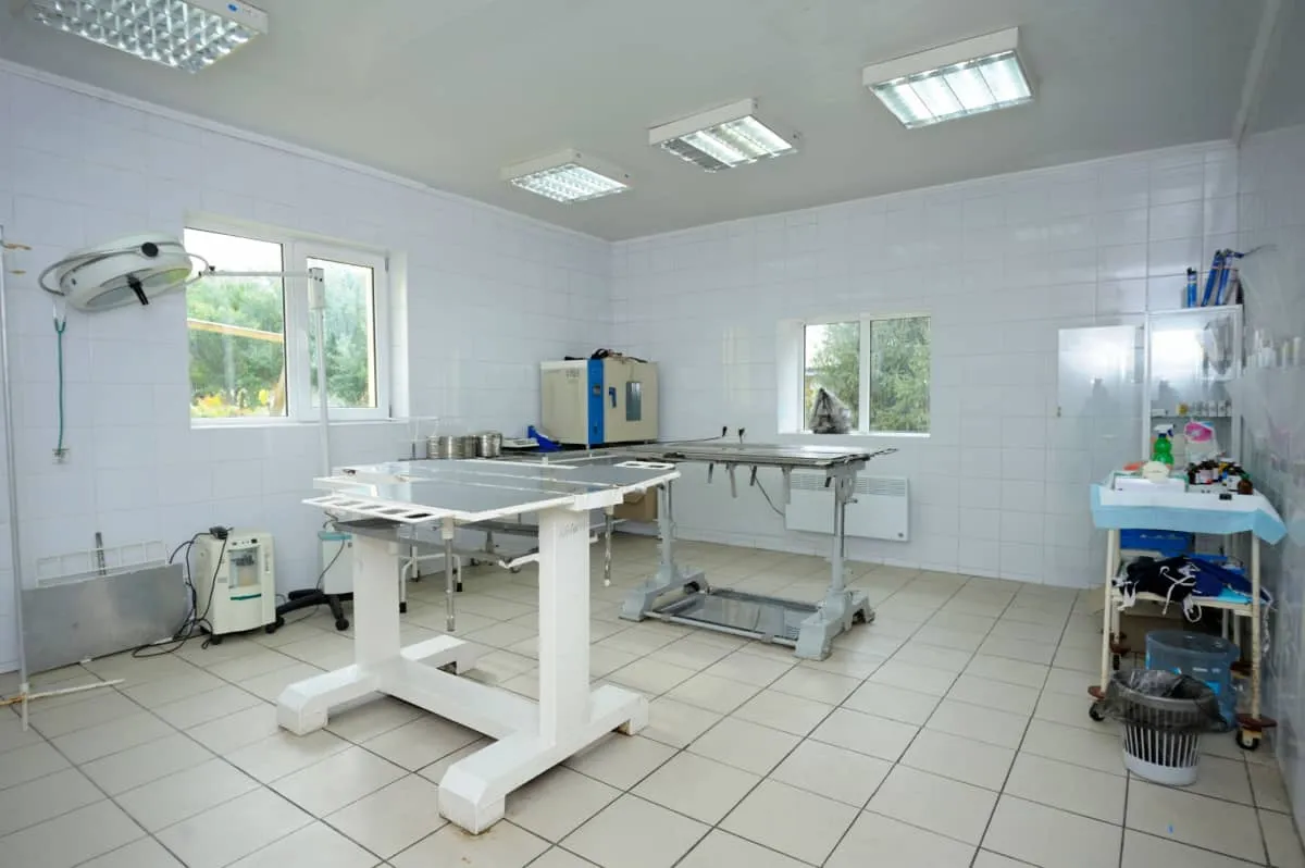 Attrezzatura impostata presso l'ufficio veterinario' title=