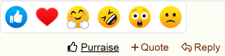 Purraise Hakkında Her Şey' title=