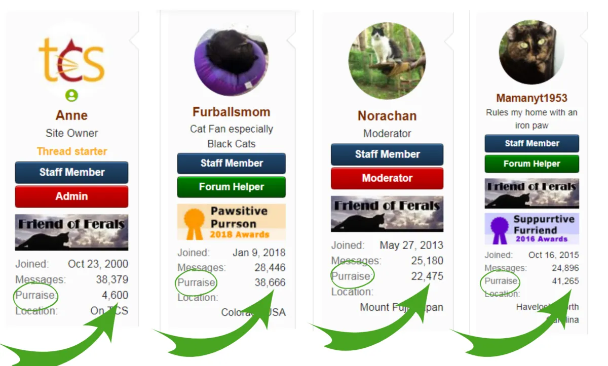 Purraise Hakkında Her Şey' title=