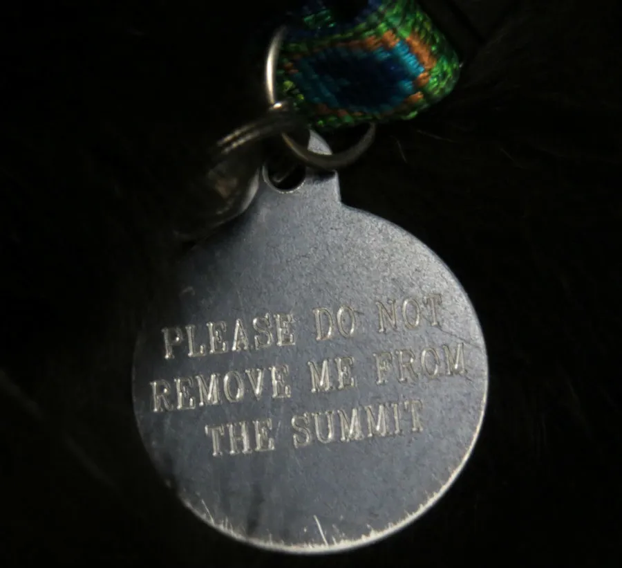 A macskák titkos élete az amerikai történelemben és folklórban' title=