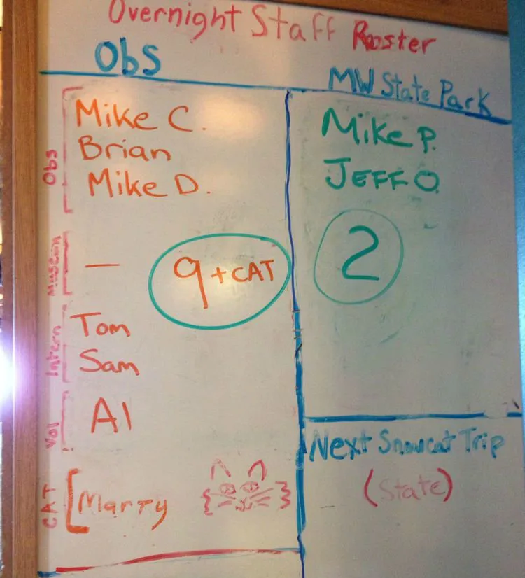 A macskák titkos élete az amerikai történelemben és folklórban' title=