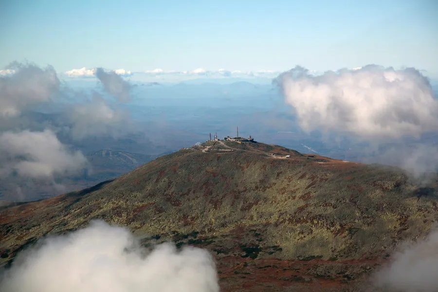 Тајни животи мачака у америчкој историји и фолклору' title=