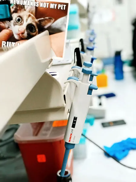 În laboratorul Basepaws' title=