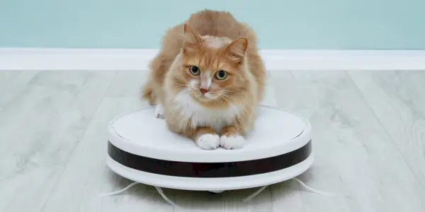 El mejor Roomba para pelo de mascotas