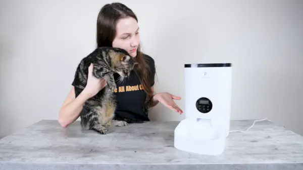 Présentation à Forest de la mangeoire automatique pour chat Petlibro