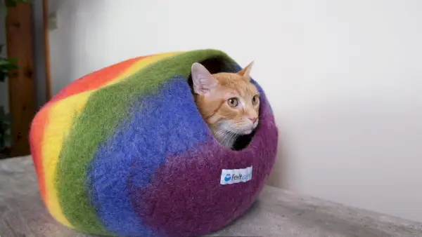 Feltcave Wool Cat Cave recenzia