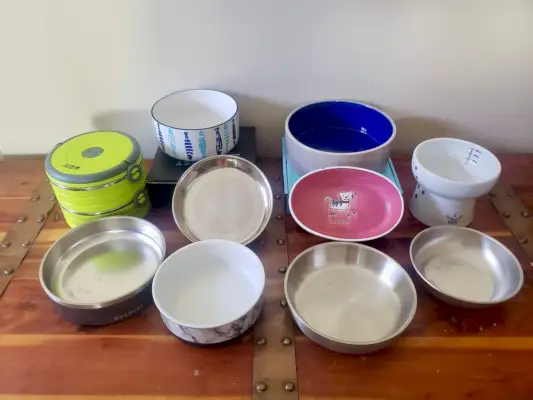 Bästa Cat Water Bowls presenterade bild