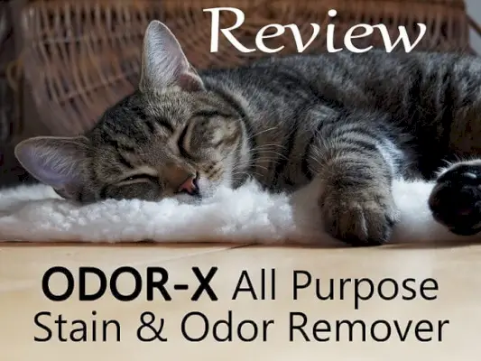 Recenzia odstraňovača škvŕn a zápachu ODOR-X