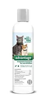 Shampoo Zodiac contra pulgas e carrapatos para cães e gatos