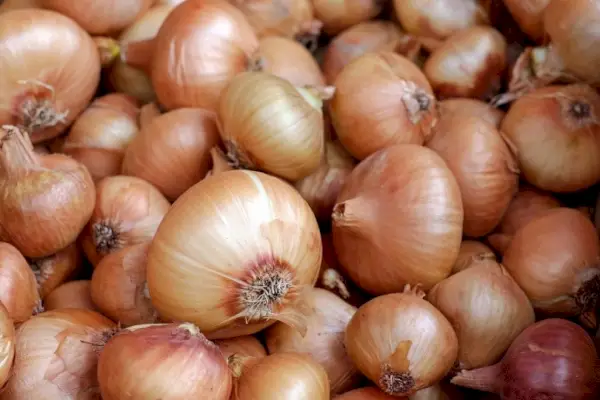 onions_Color_Pixabay