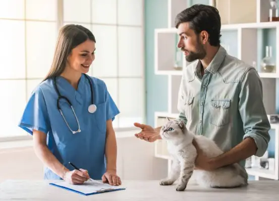 Zgodan mladić drži slatku mačku i smiješi se dok lijepa veterinarka pregledava ljubimca