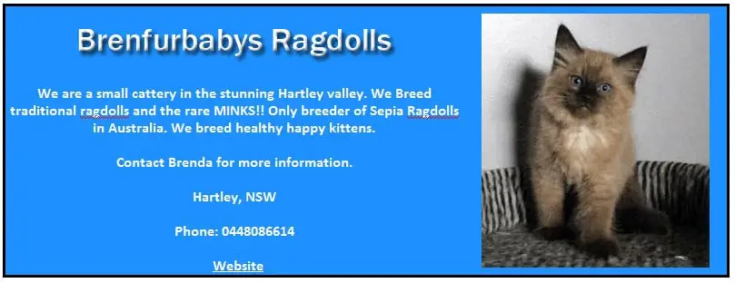 Brenfurbabies Ragdolls
