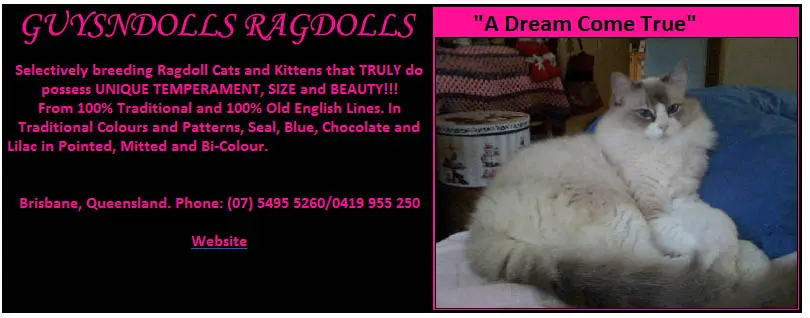 Guysndolls Ragdolls