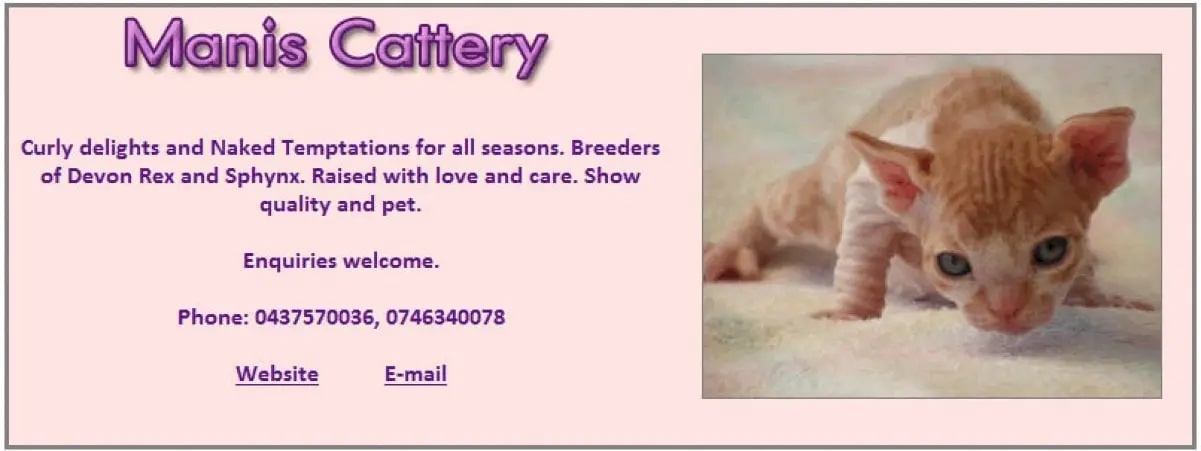 Manis Cattery