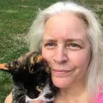 16 legjobb macskaszakértő tippeket oszt meg a félénk macskák kezeléséhez' title=