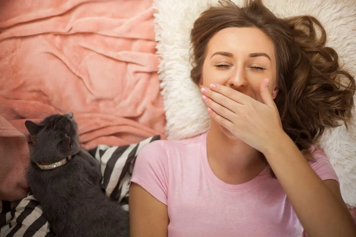 Katteneigenaar wordt wakker door miauwende katten' title=