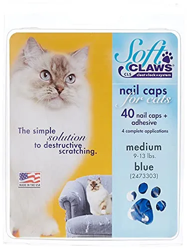So verhindern Sie, dass Ihre Katze die Möbel zerkratzt