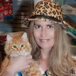 16 En İyi Kedi Uzmanı, Ürkek Kedilerle Başa Çıkmak İçin İpuçları Paylaşıyor' title=