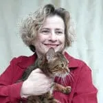 16 En İyi Kedi Uzmanı, Ürkek Kedilerle Başa Çıkmak İçin İpuçları Paylaşıyor' title=