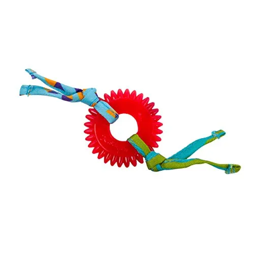 Как да спрем проблемите с дъвченето при котки