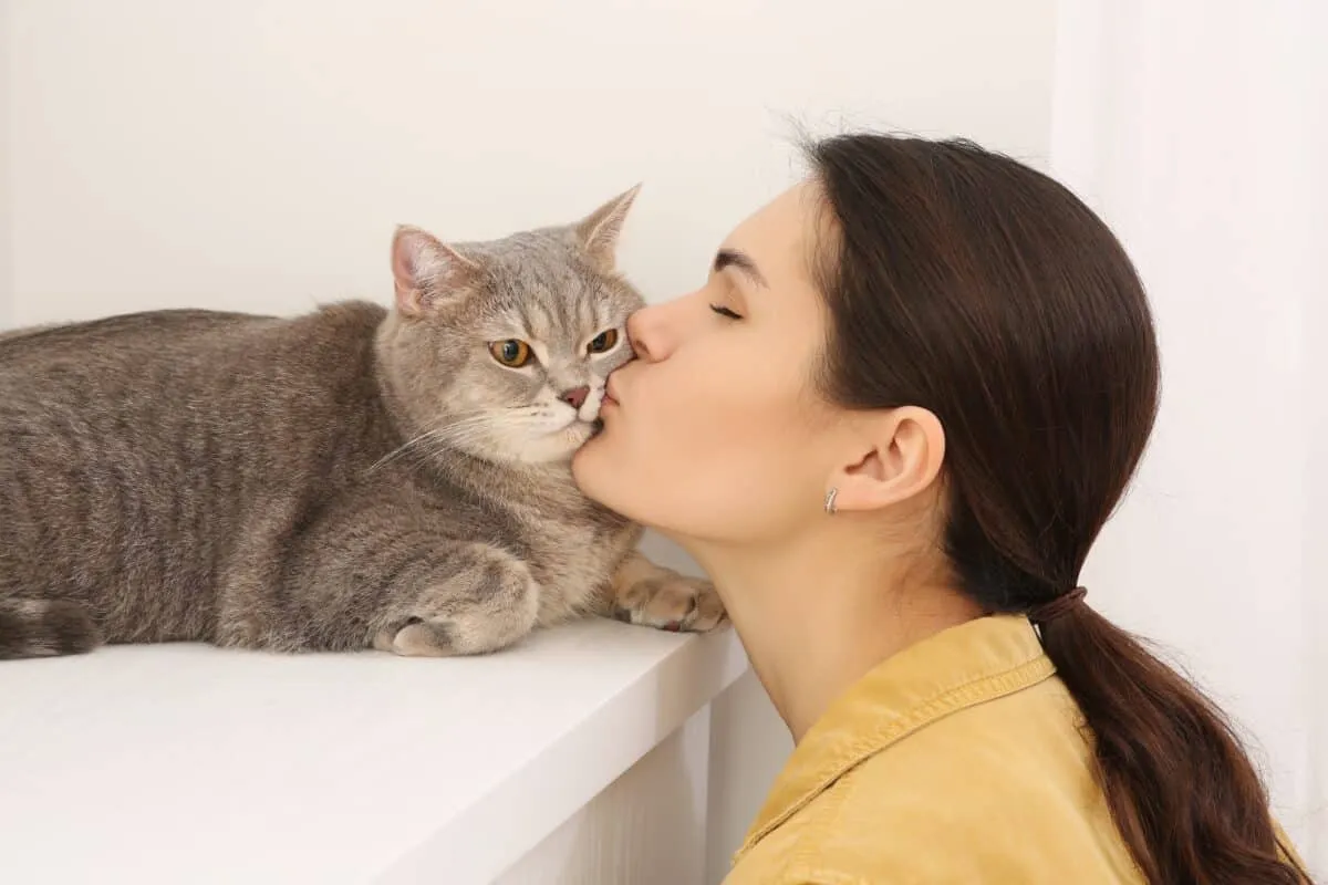 キスされる猫' title=