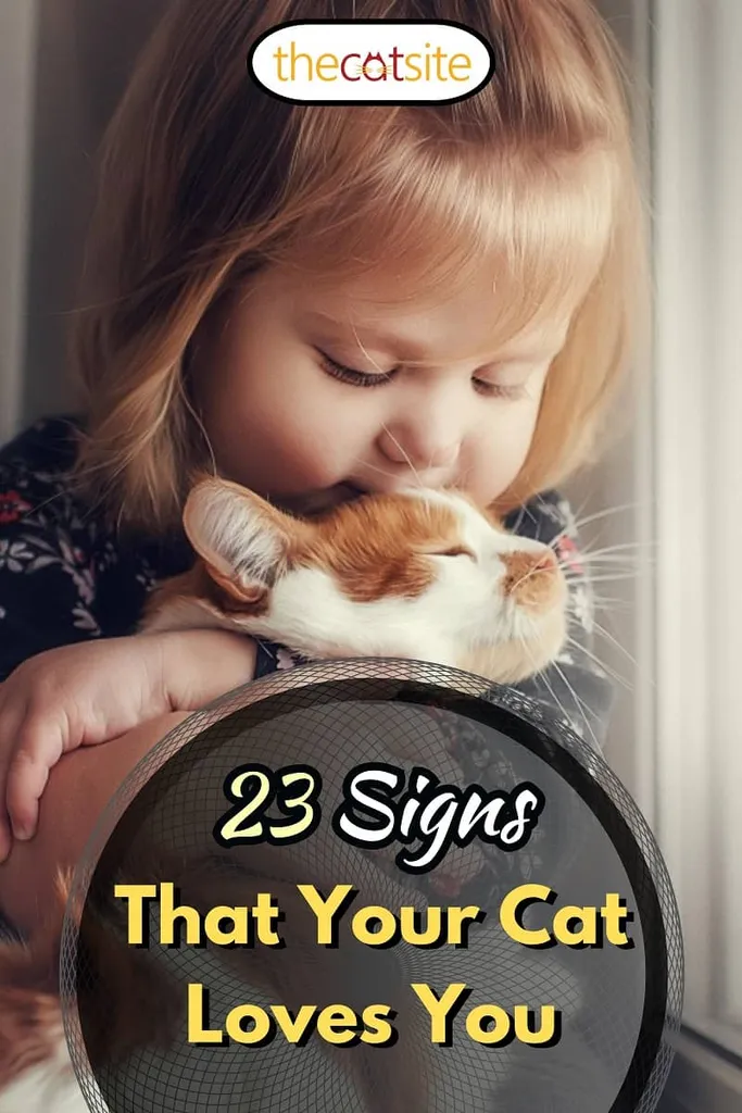 Portrait d'un petit enfant mignon au crâne chauve qui embrasse avec tendresse et amour un chat rouge et sourit de bonheur' title=