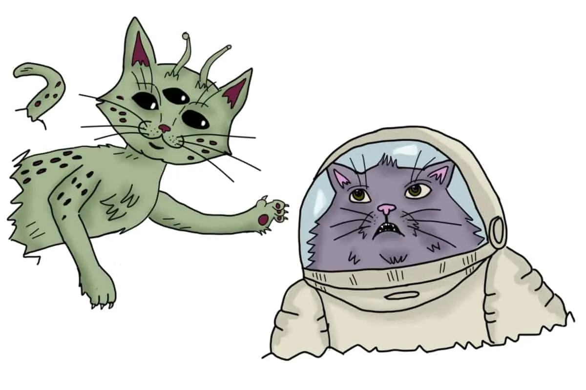 Hogyan kezeljük a macskák felismerés nélküli agresszióját' title=