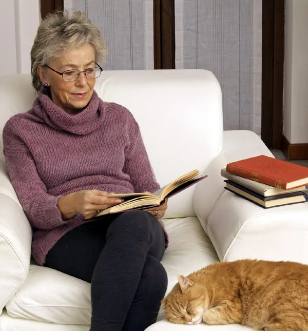 Ikke alle katte kan lide at blive kælet for' title=