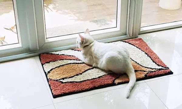 Immagine serena di un gatto seduto su un morbido tappeto, che irradia relax e contentezza in un ambiente tranquillo.